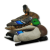 Image of Avian-X Topflight Mallards - Rester Series duck decoys