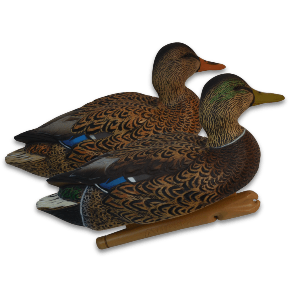 lf-307-1 Image of the Early Season Avian-X Mallards