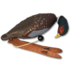 Image of the Pheasant EZ Bird